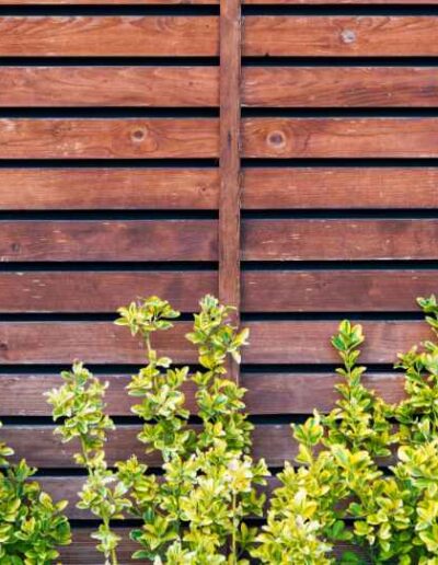 wood fencing